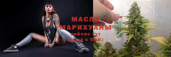 индика Краснотурьинск