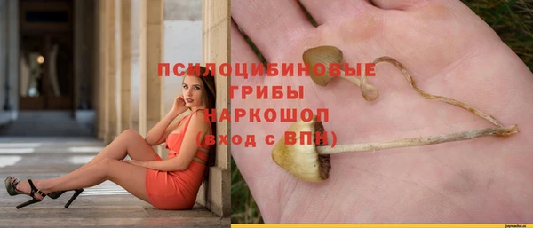 индика Краснотурьинск