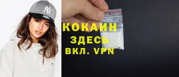 индика Краснотурьинск