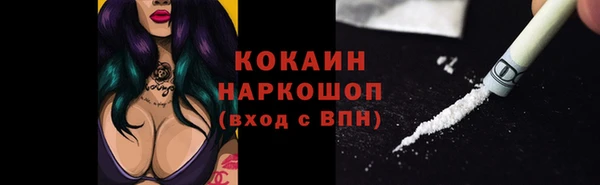 индика Краснотурьинск