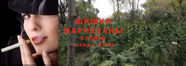индика Краснотурьинск