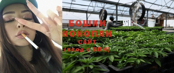 индика Краснотурьинск