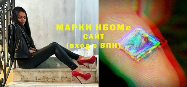 индика Краснотурьинск