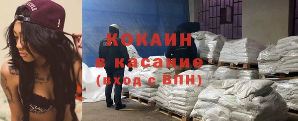 индика Краснотурьинск