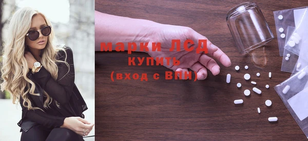 индика Краснотурьинск